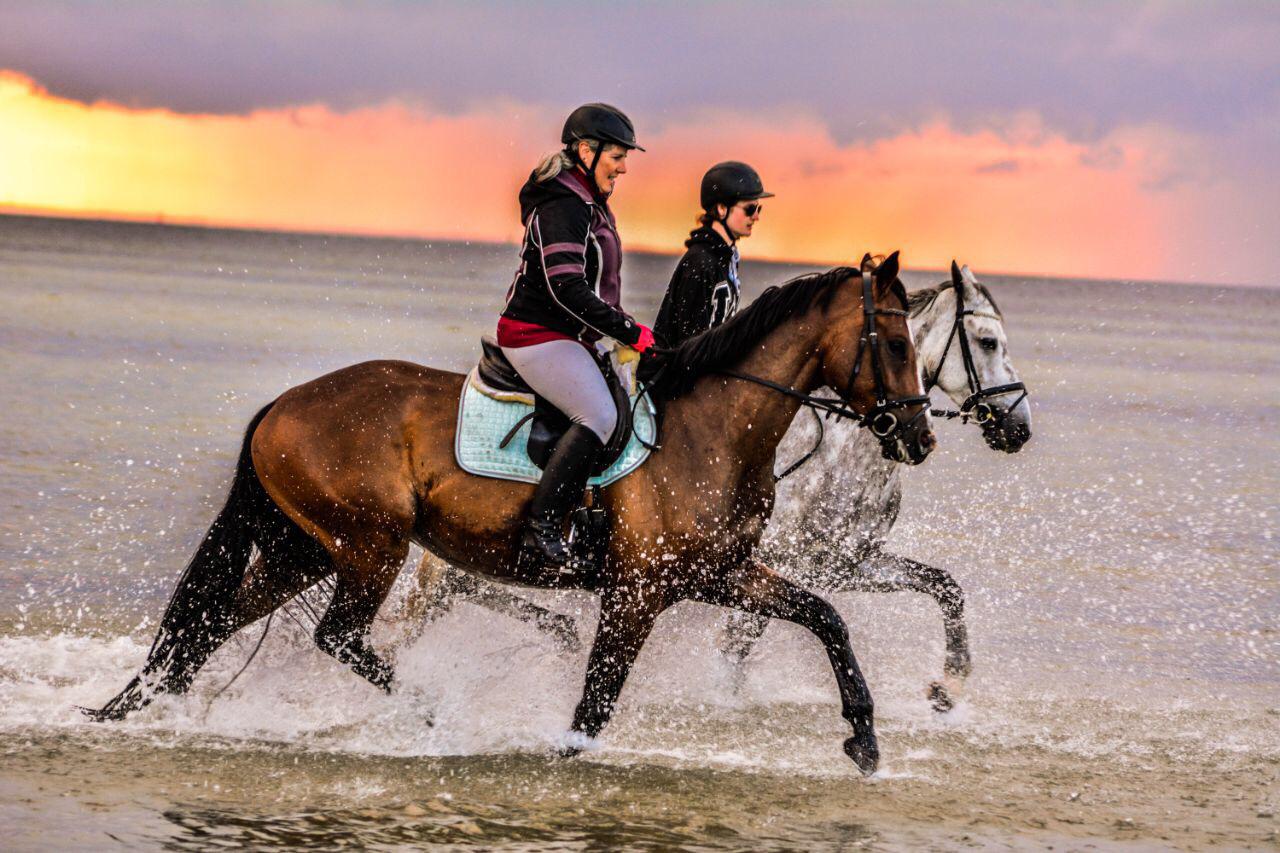 reiten am strand pöhl